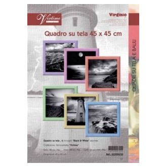 QUADRO TELA 45X45 S33950/50