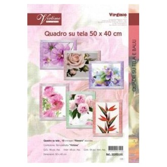 QUADRO TELA 40X50 S33951/41