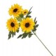 VEA/37581 TRALCIO 3 GIRASOLI