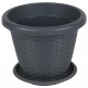 DUP/RATTAN VASO 30 ANTR*