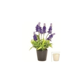 VASO LAVANDA 27581